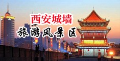 人人强奸小美女全好干中国陕西-西安城墙旅游风景区